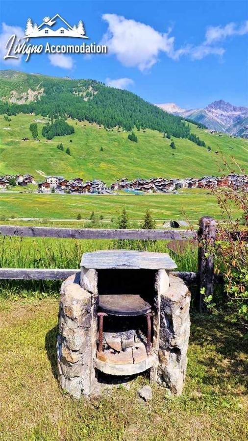 Chalet Rododendro Forest By Livigno Accomodation Exterior photo